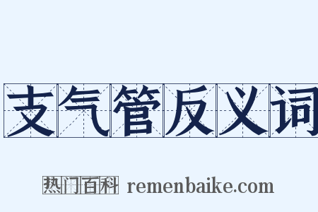 支气管反义词是什么意思的图片
